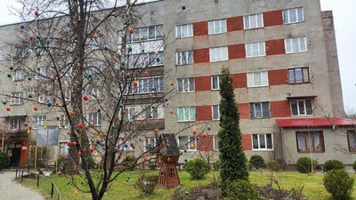 Тернополяни прикрасили писанками дерева у своєму дворі Тернополяни прикрасили писанками дерева у своєму дворі