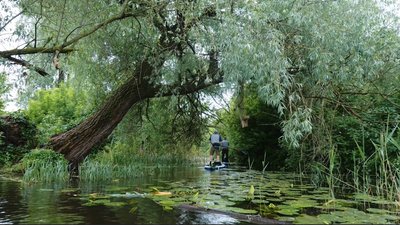 Екологія водойм на Черкащині: Золотоношка — річка із "золотим" дном Екологія водойм на Черкащині: Золотоношка — річка із "золотим" дном