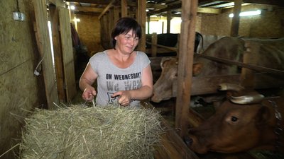 "А чом би не я?": родинна з Донеччини розвиває молочне господарство на Полтавщині "А чом би не я?": родинна з Донеччини розвиває молочне господарство на Полтавщині