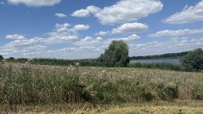Донецька область