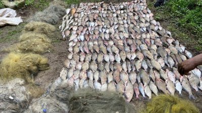 На Дніпропетровщині виявили браконьєрів, які наловили риби на понад пів мільйона гривень