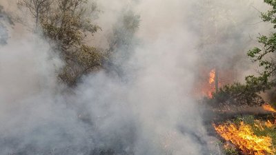 За добу на Миколаївщині обстріли російських військ спричинили три пожежі, поранення дістала одна людина — ДСНС