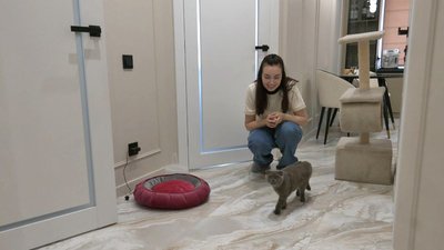Евакуйований кіт Кавун із Херсонщини знайшов домівку в Луцьку Евакуйований кіт Кавун із Херсонщини знайшов домівку в Луцьку