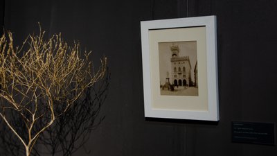Італійські світлини ХІХ століття з аукціонів та блошиних ринків. В Одесі представили фотовиставку