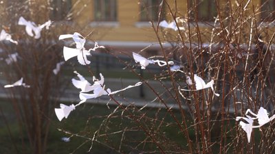 "Не кожен приходить на заходи, але добре, щоб кожен пам’ятав". Як у Чернівцях вшановують пам'ять Героїв Небесної Сотні "Не кожен приходить на заходи, але добре, щоб кожен пам’ятав". Як у Чернівцях вшановують пам'ять Героїв Небесної Сотні