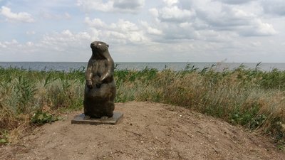 "Символ степу". На Тузлівських лиманах Одещини встановили пам'ятник бабаку "Символ степу". На Тузлівських лиманах Одещини встановили пам'ятник бабаку