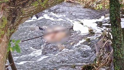 Знайшли у річці: на Черкащині чоловіка вбила знайома Знайшли у річці: на Черкащині чоловіка вбила знайома
