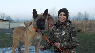 За роботу зі щенятами відповідає інспектор-кінолог Інна Герасімова. На фото разом з Іриною бельгійська вівчарка малінуа. За роботу зі щенятами відповідає інспектор-кінолог Інна Герасімова. На фото разом з Іриною бельгійська вівчарка малінуа.