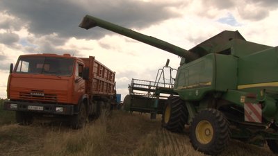 Цього року врожайність зернових на Черкащині нижча - Яріш Цього року врожайність зернових на Черкащині нижча - Яріш