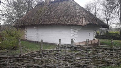 На Черкащині знайшли нові підсніжники На Черкащині знайшли нові підсніжники