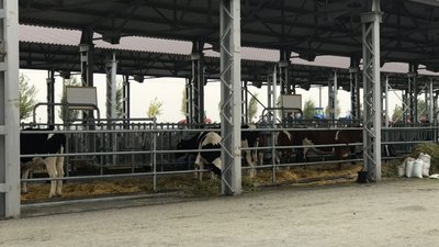 У Кропивницькому розпочалась Міжнародна виставка Агроекспо У Кропивницькому розпочалась Міжнародна виставка Агроекспо
