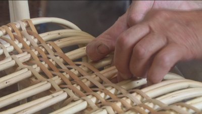 Вироби із лози, без професійного обладнання виготовляє родина Ігушевих із Вінниччини Вироби із лози, без професійного обладнання виготовляє родина Ігушевих із Вінниччини