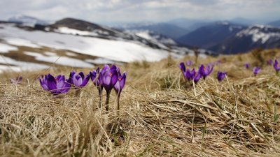 Вихідні у березні 2021: скільки українці відпочиватимуть