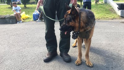 У львіському Парку культури провели парад військових собак У львіському Парку культури провели парад військових собак