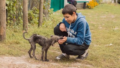 Самотужки виховує трьох синів і молодшого брата: історія родини Надії Петто з Сумщини Самотужки виховує трьох синів і молодшого брата: історія родини Надії Петто з Сумщини