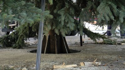 Ялинка на площі біля театру імені Гоголя: яка у Полтаві 2023