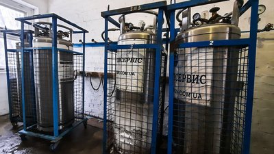 фотографія