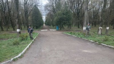 Прикарпатські лісівники висадили ялинову алею у Рогатинському міському парку Прикарпатські лісівники висадили ялинову алею у Рогатинському міському парку