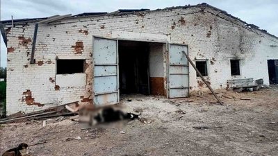 Російський авіаснаряд влучив у ферму в Пологівському районі на Запоріжжі. Загинули тварини