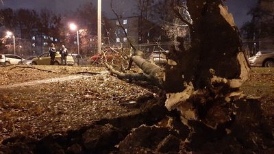 У Харківській області оголосили штормове попередження У Харківській області оголосили штормове попередження