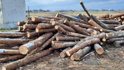 Кубометри для громади. На Миколаївщині люди продовжують отримувати дрова від держави Кубометри для громади. На Миколаївщині люди продовжують отримувати дрова від держави