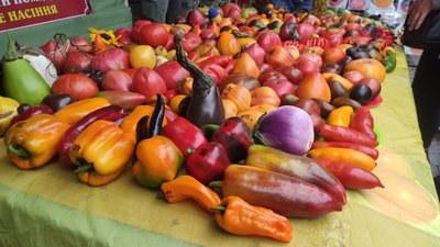 виставка помідорів, помідори, тернопіль, ринок