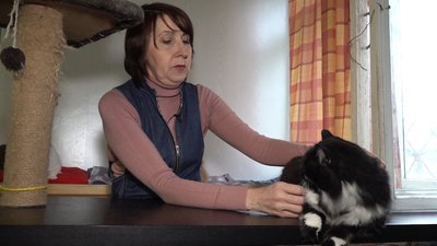Мешканка Одеси друкує фото безпритульних котів на стаканчиках з кавою, аби знайти їм сім'ю Мешканка Одеси друкує фото безпритульних котів на стаканчиках з кавою, аби знайти їм сім'ю