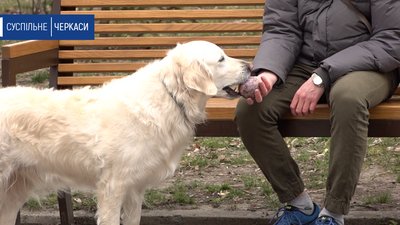У парках та лісах Черкащини активізувалися кліщі У парках та лісах Черкащини активізувалися кліщі