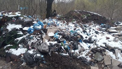 На Львівщині судитимуть підприємицю за засмічення 700 кв. м землі в Трускавці