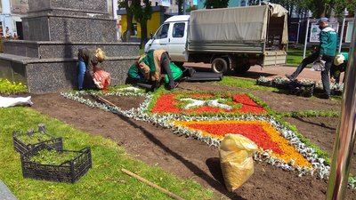 Квітник-вишиванку створили у Сумах