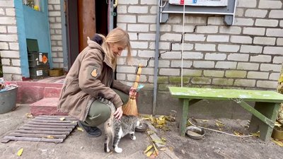 Волонтерка годує котів Волонтерка годує котів