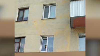 У Житомирі підлітки врятували кота, який застряв у вікні другого поверху У Житомирі підлітки врятували кота, який застряв у вікні другого поверху