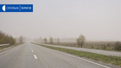 Пилова буря на Чернігівщині: ламає дерева, зриває утеплення будинків, обмежена видимість на дорогах