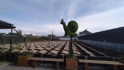 На Львівщині закрили першу в Україні зміїну ферму На Львівщині закрили першу в Україні зміїну ферму