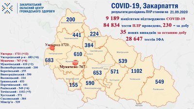 На Закарпатті за добу виявили 35 нових випадків COVID-19