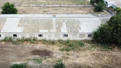 Спалах АЧС підозрюють у одному із господарств Херсонщини - господар не дає перевірити Спалах АЧС підозрюють у одному із господарств Херсонщини - господар не дає перевірити