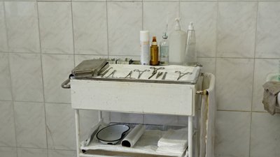 Стерилізація безпритульних тварин у Полтаві 2021-го року: що відомо Стерилізація безпритульних тварин у Полтаві 2021-го року: що відомо