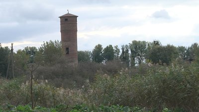 Під Луцьком у природоохоронній зоні спускають воду у ставках: хто це робить та навіщо Під Луцьком у природоохоронній зоні спускають воду у ставках: хто це робить та навіщо
