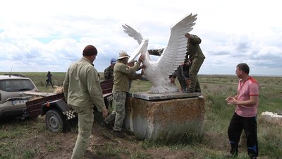 На Одещині встановили скульптуру кучерявого пелікана На Одещині встановили скульптуру кучерявого пелікана