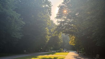 Алея у дендропарку "Поділля"