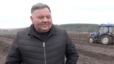 На Волині заклали найбільший вишневий сад На Волині заклали найбільший вишневий сад