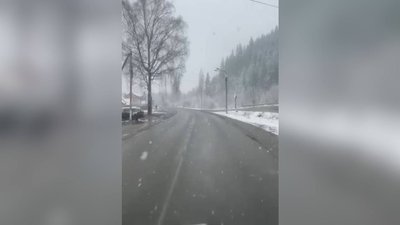 Сніг у Вижниці на Буковині