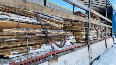 СБУ викрила черкащанку, яка незаконно експортувала деревину СБУ викрила черкащанку, яка незаконно експортувала деревину