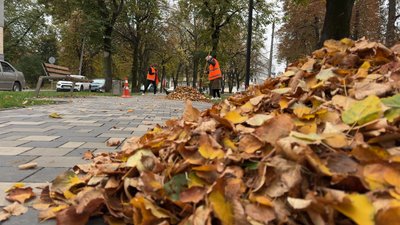 Комунальники прибирають опале листя