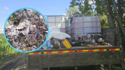 Жителі села на Полтавщині розповіли про неповну ліквідацію скотомогильника