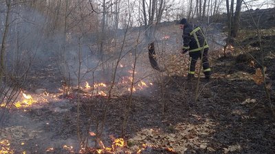 На Житомирщині протягом доби виникло 9 пожеж сухостою. Опіки отримали 3 людини На Житомирщині протягом доби виникло 9 пожеж сухостою. Опіки отримали 3 людини
