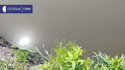 На Сумщині у ставку видобували корисні копалини На Сумщині у ставку видобували корисні копалини