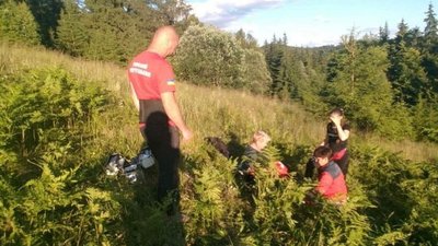 У лісі поблизу Ворохти, що на Івано-Франківщині, жінку вкусила змія. Знадобилася допомога рятувальників
