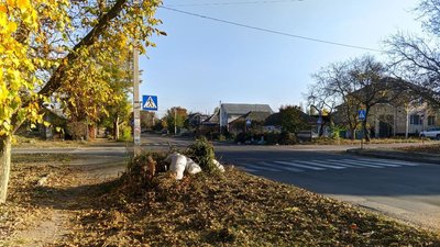 Спалювати чи вивозити. Що робити з опалим листям у Миколаєві