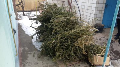 "Зберігав для власних потреб": на Вінниччині у чоловіка знайшли мішок канабісу "Зберігав для власних потреб": на Вінниччині у чоловіка знайшли мішок канабісу